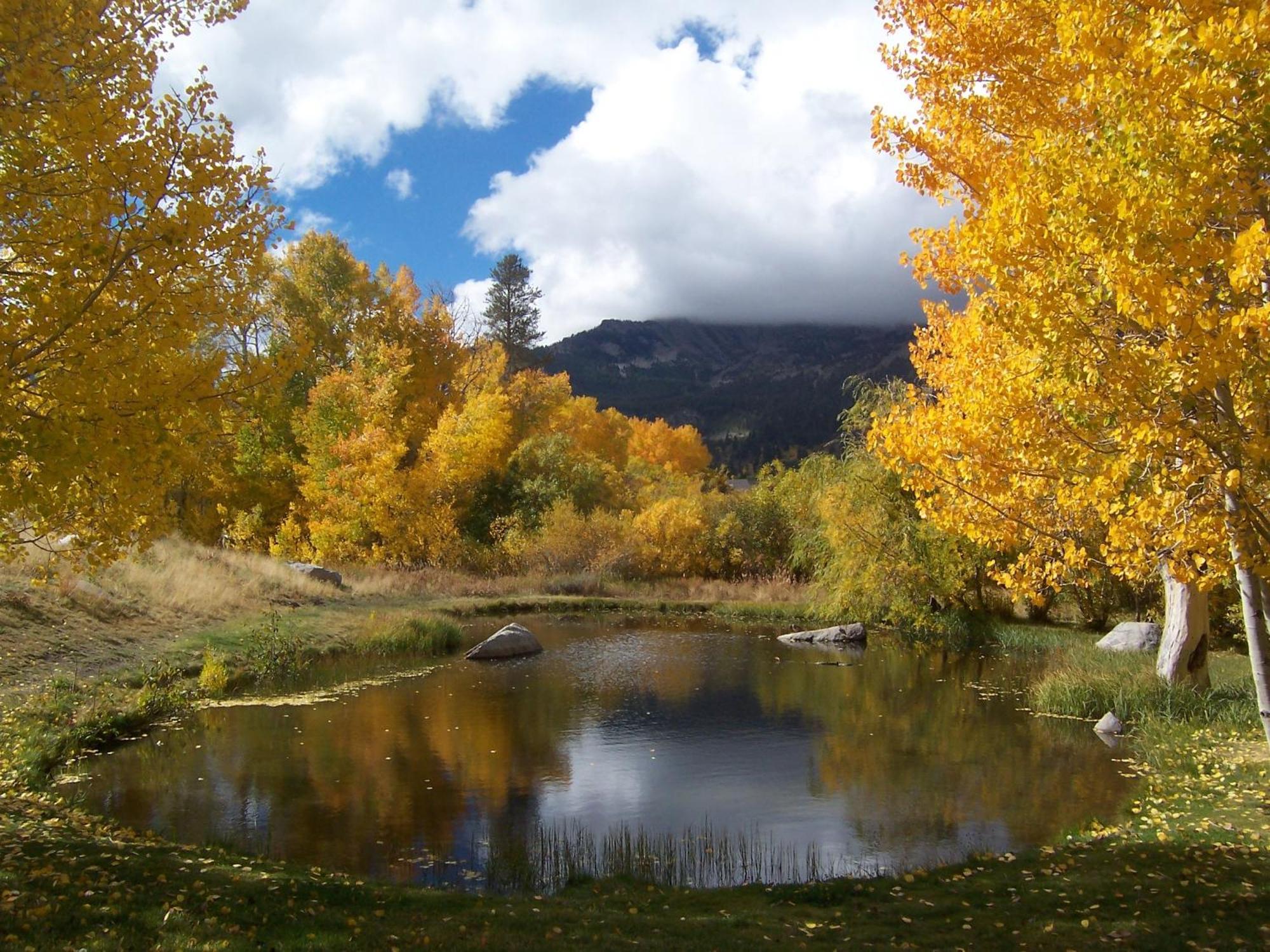 Snowcreek Resort Vacation Rentals Mammoth Lakes Bagian luar foto